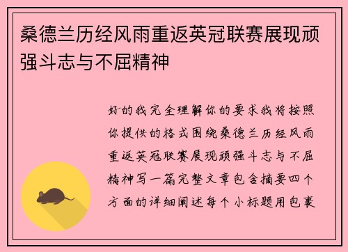 桑德兰历经风雨重返英冠联赛展现顽强斗志与不屈精神 桑德兰历经风雨重返英冠联赛展现顽强斗志与不屈精神